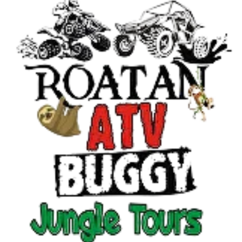 Roatan ATV Buggy